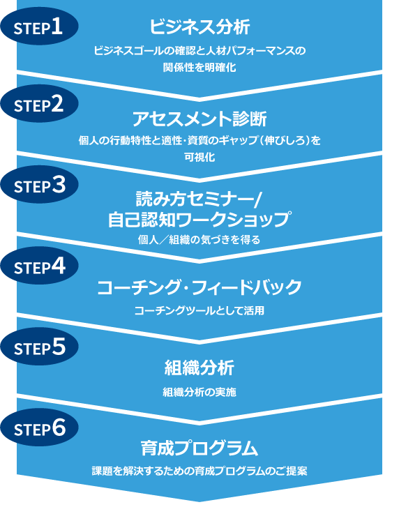 STEP1　ビジネス分析　ビジネスゴールの確認と人材パフォーマンスの関係性を明確化　STEP2　アセスメント診断　個人の行動特性と適性・資質のギャップ（伸びしろ）を可視化　STEP3　読み方セミナー/自己認知ワークショップ　個人/組織の気づきを得る　STEP4　コーチング・フィードバック　コーチングツールとして活用　STEP5　組織分析　組織分析の実施　STEP6　育成プログラム　課題を解決するための育成プログラムのご提案