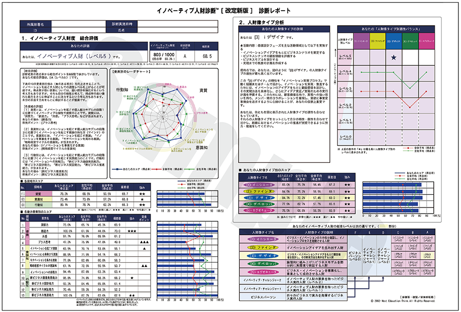 イノベーティブ人財診断 改訂新版 診断レポート 人財像タイプ分析